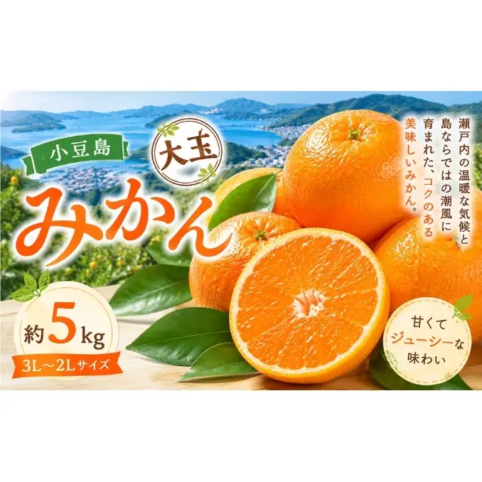 みかん 小豆島 瀬戸内 大玉 大玉みかん 箱買い 約5kg 3L～2Lサイズ 小豆島みかん 温暖 潮風 柑橘 かんきつ 果物 冬の果物 香川県 土庄町