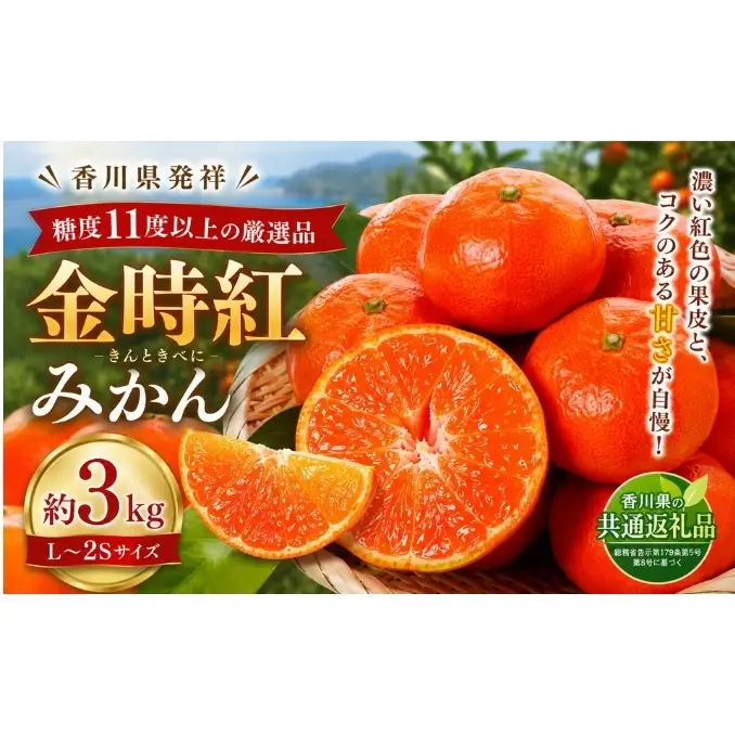 みかん 金時紅 約3kg L～2S 金時紅みかん 糖度11度以上 国産 高糖度 小原紅早生 小原紅早生みかん 早生みかん 紅みかん 紅色 香川県発祥 香川県オリジナル品種 柑橘 かんきつ 果物 冬の果物 香川県 土庄町