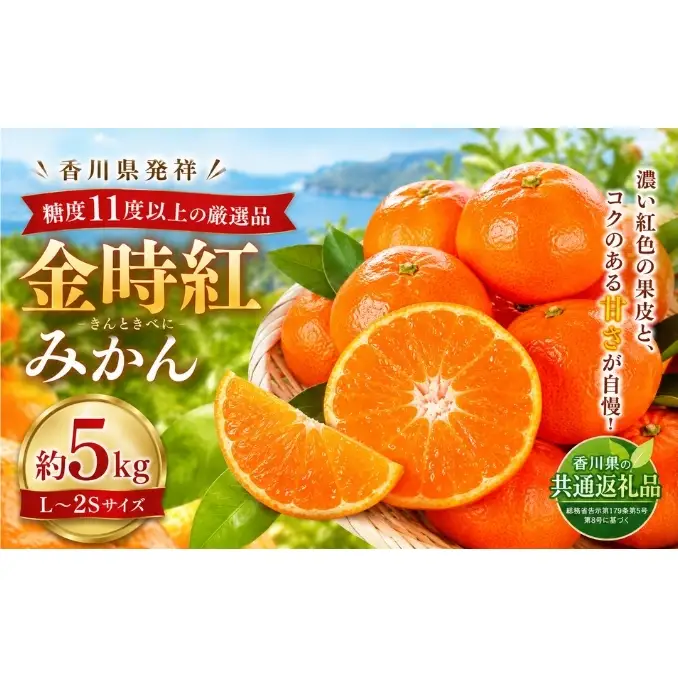金時紅みかん  約5kg フルーツ みかん 果物 香川県 土庄町
