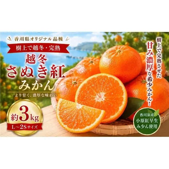 越冬さぬき紅みかん  約3kg みかん フルーツ 果物 香川県 土庄町