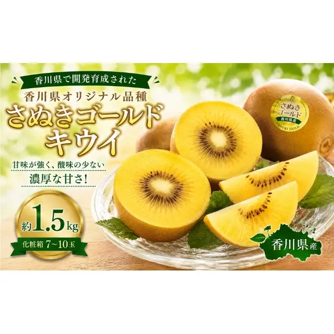 さぬきゴールドキウイ  約1.5kg 化粧箱 キウイ フルーツ 果物 香川県 土庄町