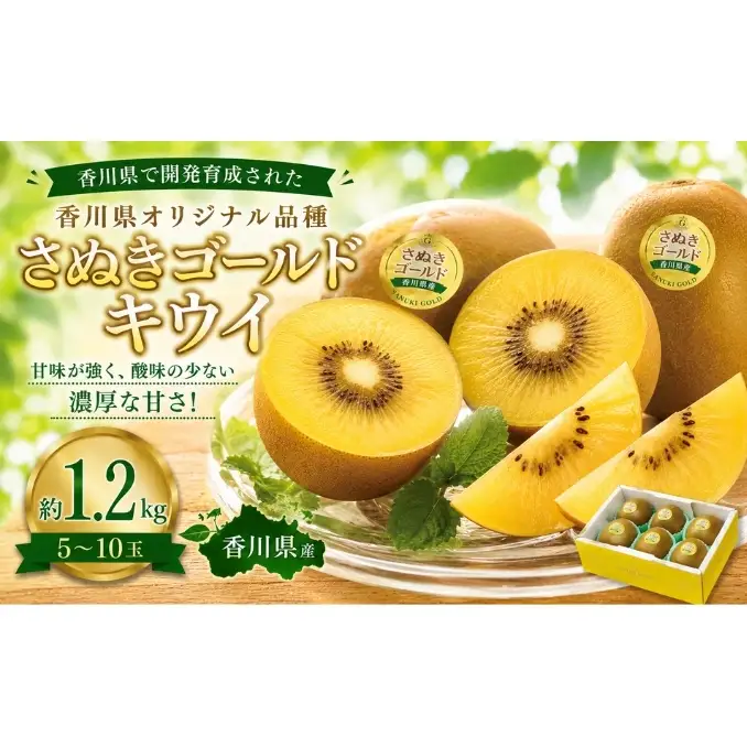 さぬきゴールドキウイ  約1.2kg キフイ フルーツ 果物 香川県 土庄町