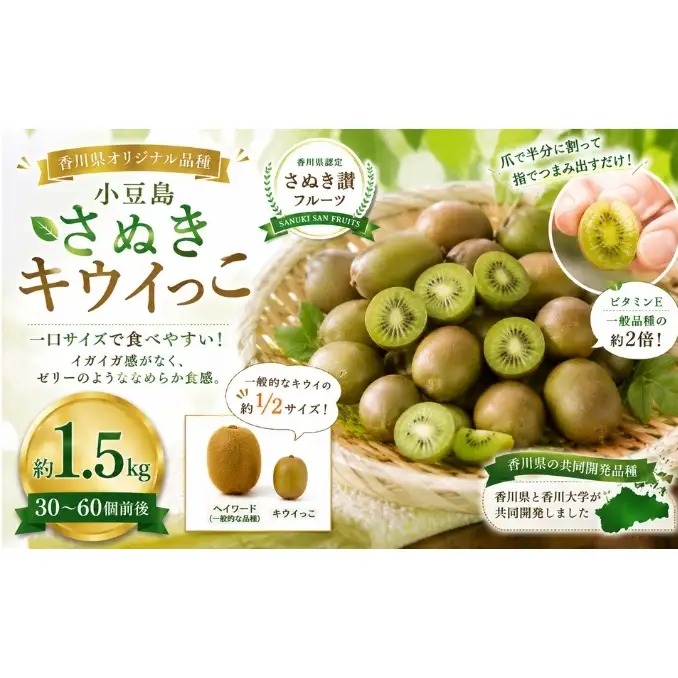 小豆島さぬきキウイっこ  約1.5kg キウイ フルーツ 果物 香川県 土庄町