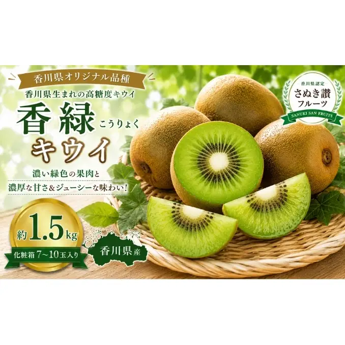 香緑（こうりょく）キウイ  約1.5kg 化粧箱 キウイ フルーツ 果物 香川県 土庄町