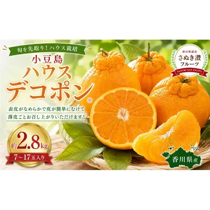 小豆島 ハウスデコポン 約2.8kg デコポン フルーツ 果物 香川県 土庄町