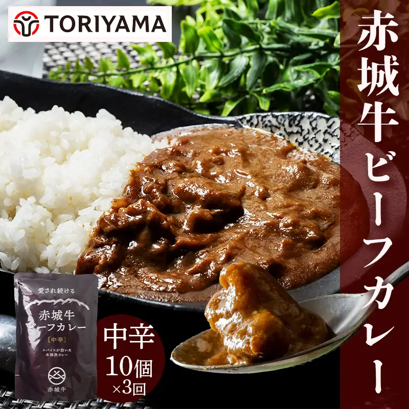 【定期便・全3回】赤城牛ビーフカレー中辛 計30個セット（10個×3回） カレー レトルト 牛肉 銘柄牛 赤城牛 長期保存  F4H-0849