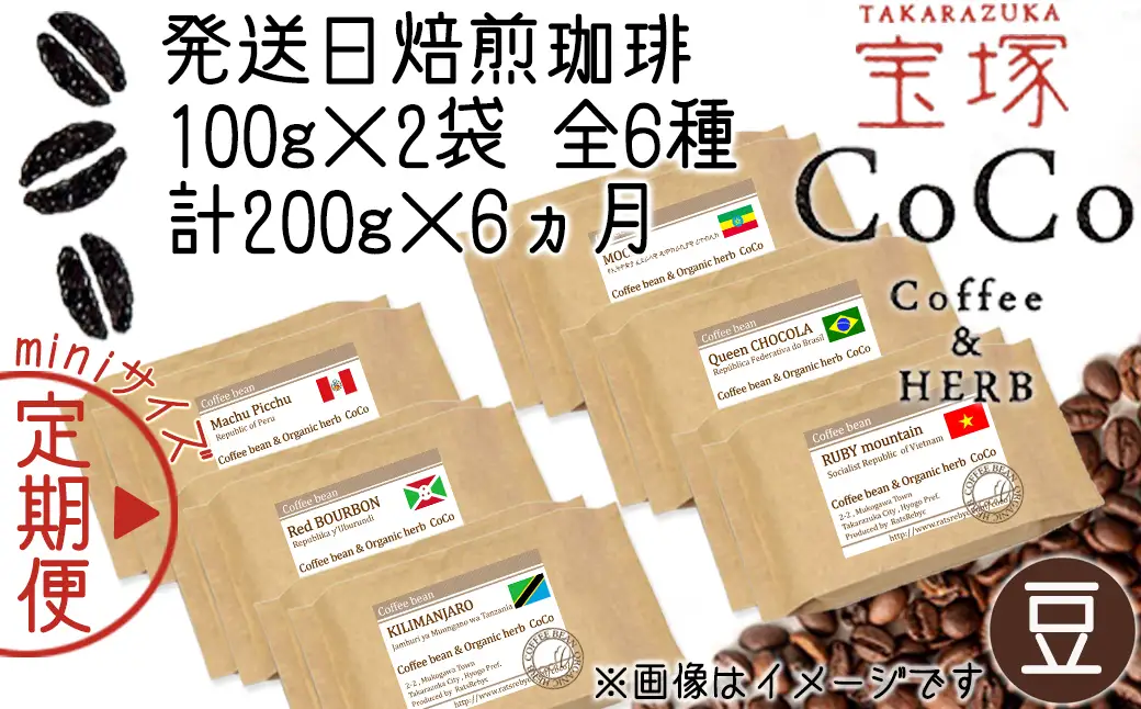 【宝塚】6ヶ月定期便mini(発送日自家焙煎珈琲豆・全6種 計1200g)【豆】