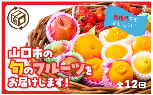 A133 規格外だけど美味しさ満点！エコ・フルーツアソートボックス定期便（12回）