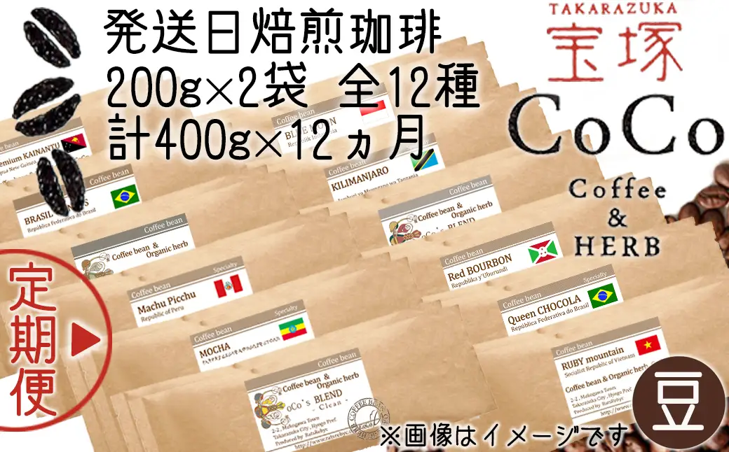 【宝塚】12ヶ月定期便R(発送日自家焙煎珈琲豆・全12種 計4.8kg)【豆】