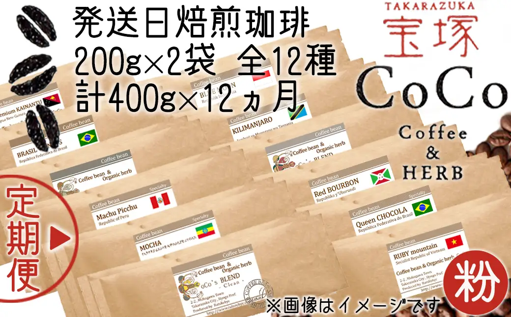 【宝塚】12ヶ月定期便R(発送日自家焙煎珈琲豆・全12種 計4.8kg)【粉】