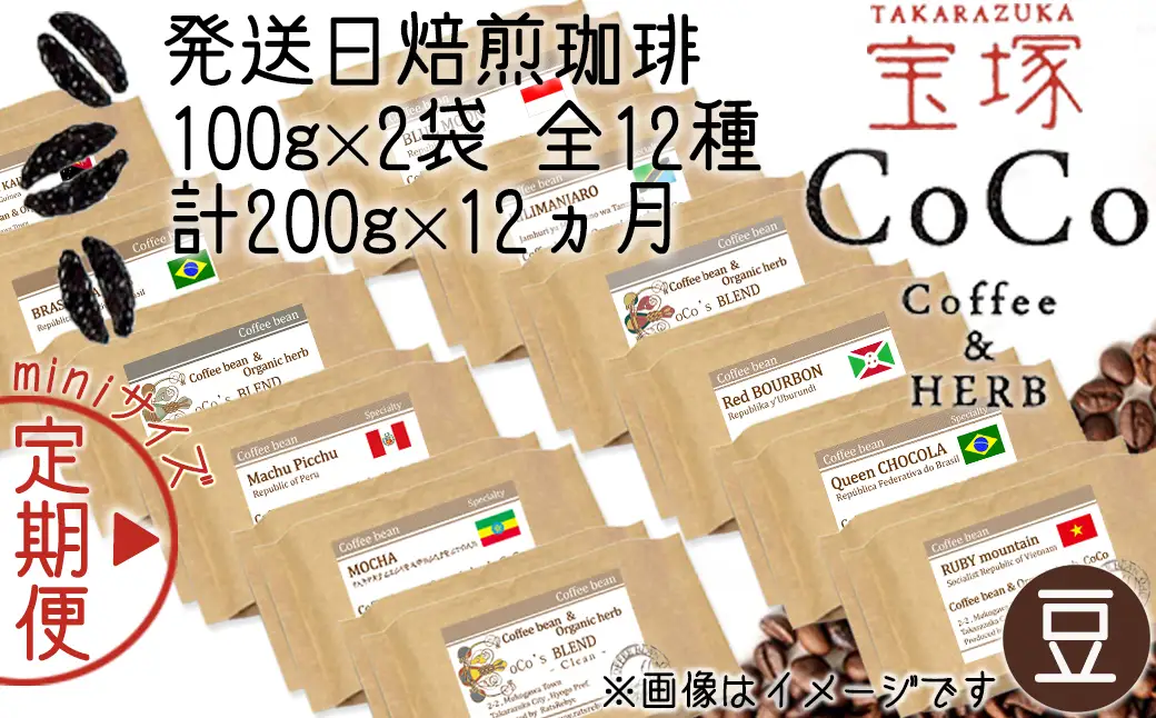 【宝塚】12ヶ月mini(発送日自家焙煎珈琲豆・全12種 計2.4kg)【豆】