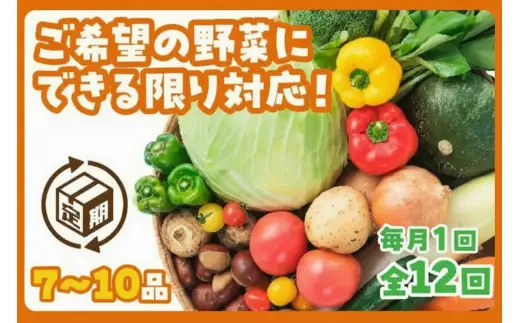 A135 わがまま野菜定期便（年12回）