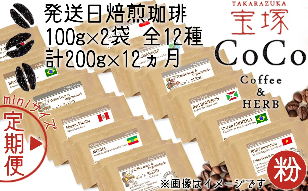 【宝塚】12ヶ月mini(発送日自家焙煎珈琲豆・全12種 計2.4kg)【粉】