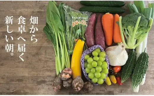 A136 野菜とフルーツの定期便（年6回）
