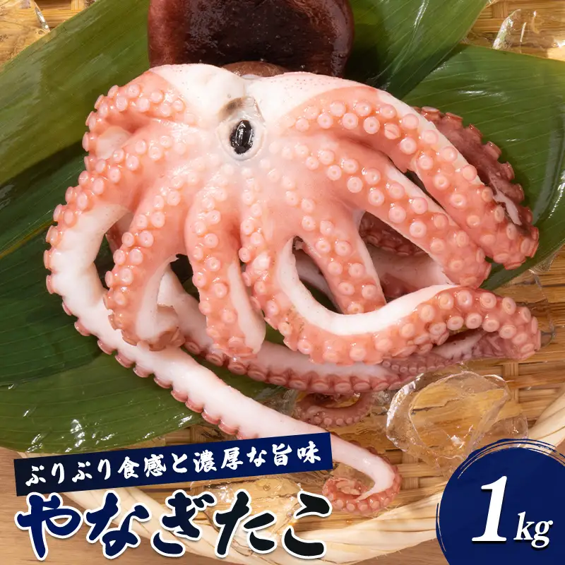 ぷりぷり食感と濃厚な旨み やなぎたこ 約1kg  FAI-0150