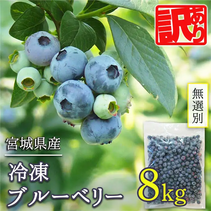 ≪ 訳あり≫ 無選別 冷凍ブルーベリー 8kg ブルーベリー 果物 フルーツ 朝食 ヨーグルト スムージー 健康 訳アリ 【有限会社伊豆沼農産】tm785