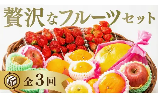 B122 選べる！ご褒美フルーツ定期便（年3回）