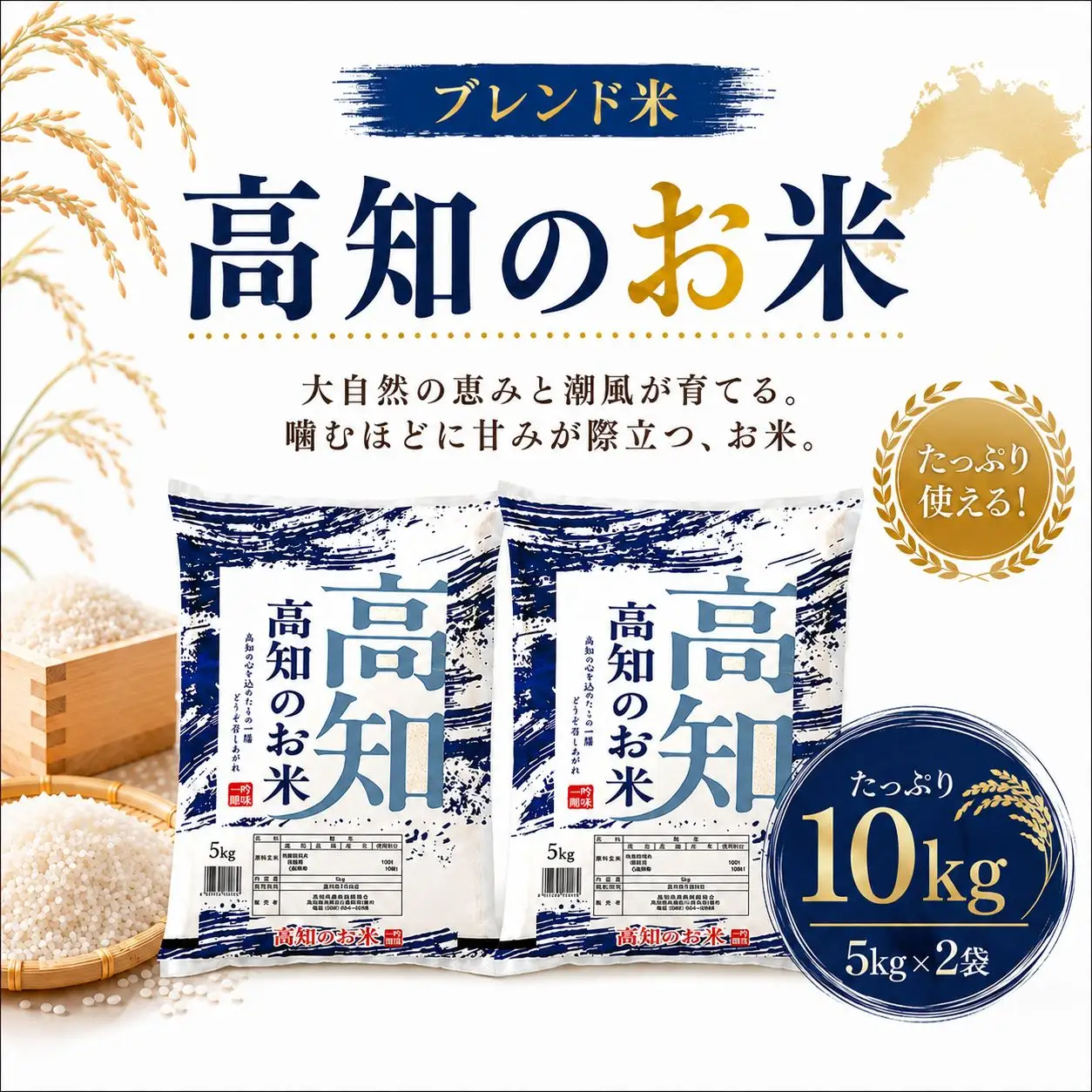 ブレンド米 複数年度 高知のお米 10kg 高知県産 高知県 室戸市