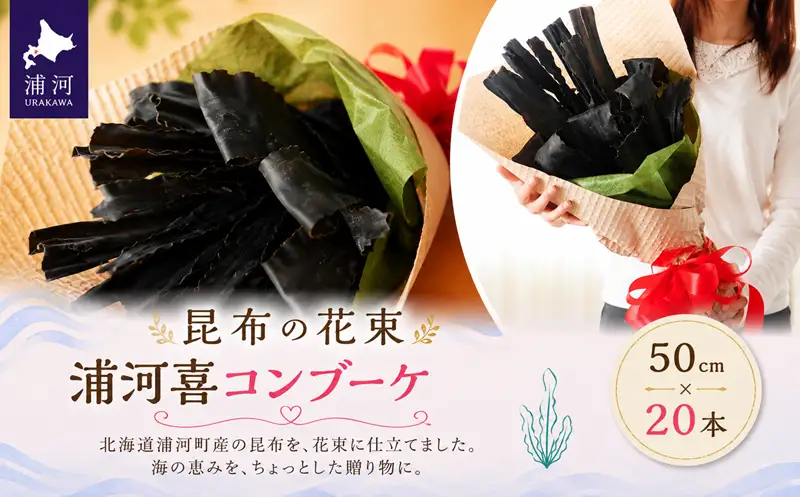 昆布の花束 浦河喜コンブーケ50cm×20本[23-296]