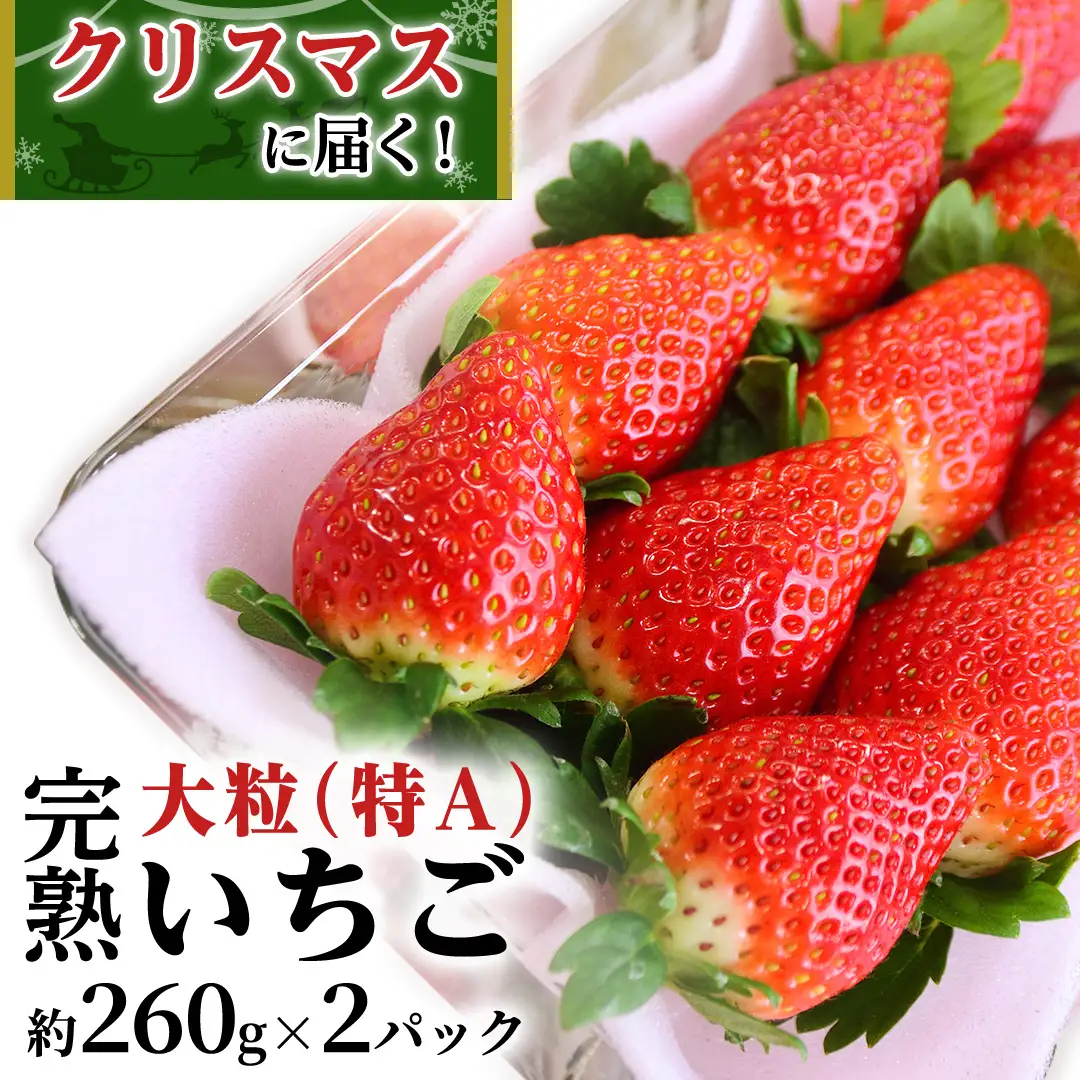 【12/25 到着】 クリスマス に届く 完熟 いちご  約260g×2パック 数量限定 完熟いちご やよいひめ かおり野 とちおとめ 国産 いちご イチゴ 苺 旬のいちご 贈り物 果物 フルーツ 茨城県産 KEK 年内 年末 [BC072sa]