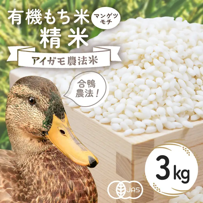 有機もち米（マンゲツモチ）精米　3kg お米 米 白米 もち米 ご飯 ごはん 国産米 産地直送 茨城県 石岡市 B03-014