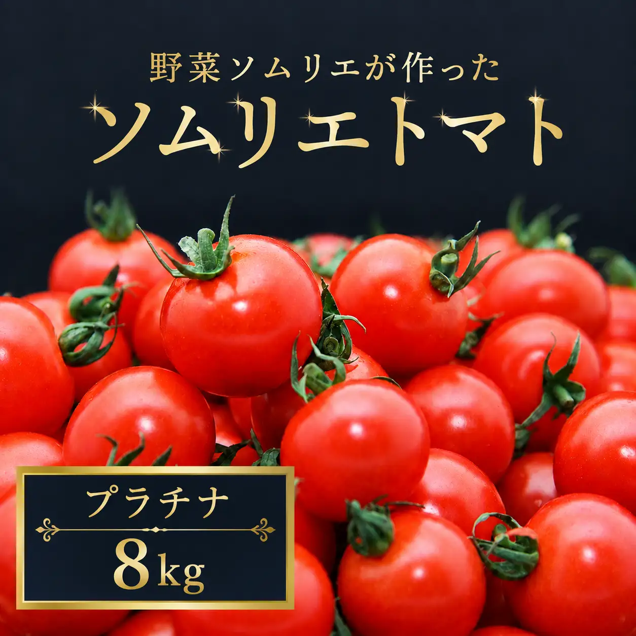 ミニトマト（プラチナ）8kg｜レッドアップ