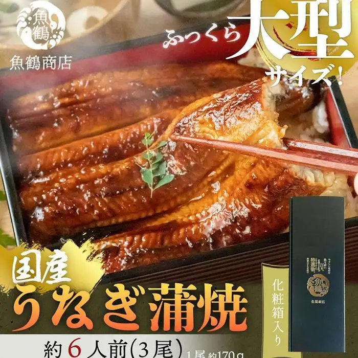 大型サイズ ふっくら柔らか 国産うなぎ蒲焼き 3尾 ［UT06］