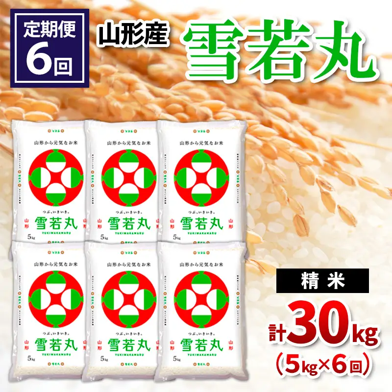 【令和8年産】 【定期便6回】山形産 雪若丸 精米 5kg×6回 FY26-260