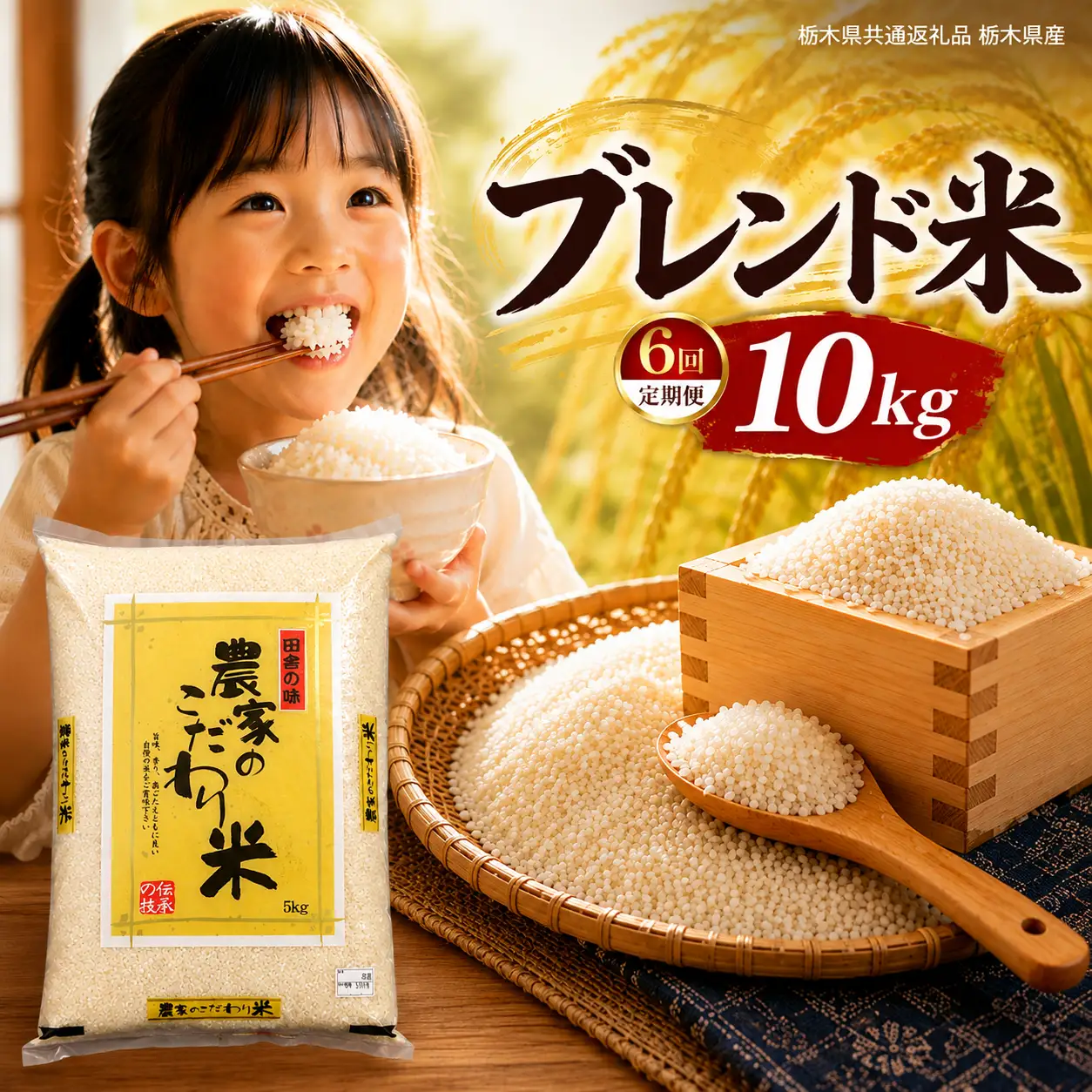 【定期６回】栃木県産 ブレンド米 10kg【栃木県共通返礼品】