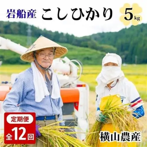 【毎月定期便】関川村産こしひかり5kg ふっくら美味しさ 岩船米 [横山農産]全12回【4091638】