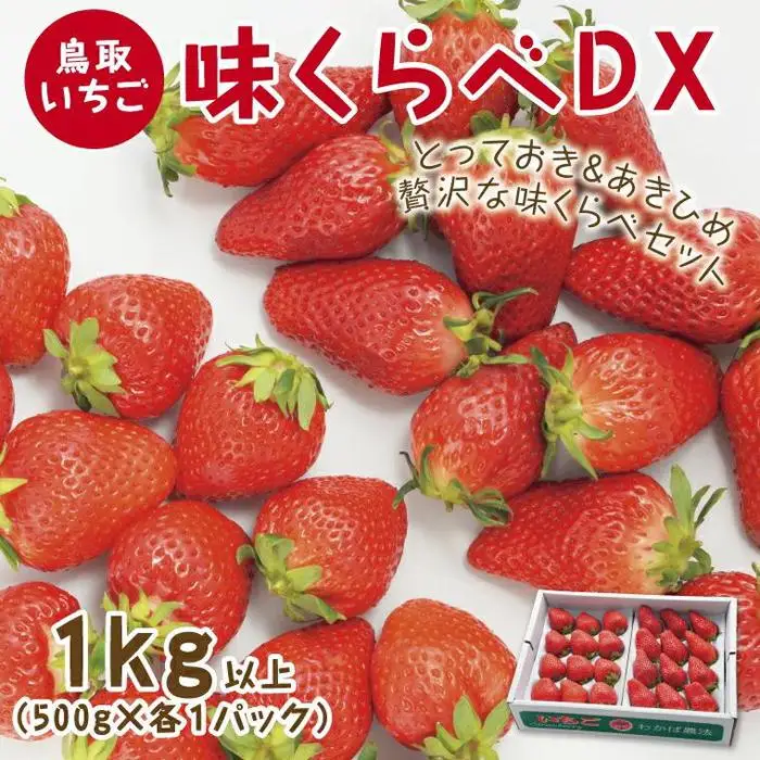 味くらべDX 1kg 鳥取いちご【とみハウス】