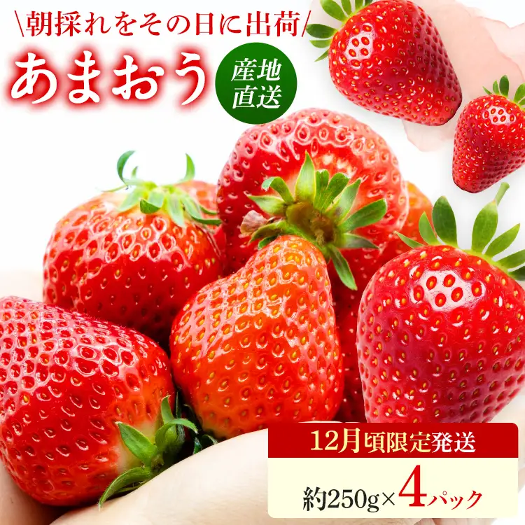 いちご   産地直送　福岡県産あまおういちご　エコ農産品 (約250g×4パック)  【12月頃限定発送予定】 ※北海道・沖縄・離島は配送不可  いちご