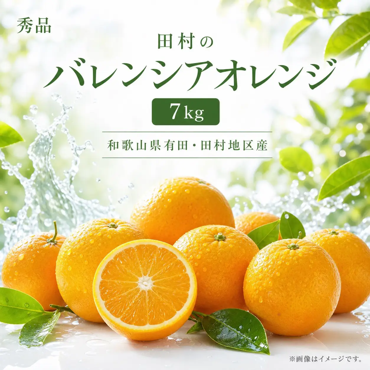 秀品 田村のバレンシアオレンジ 約7kg