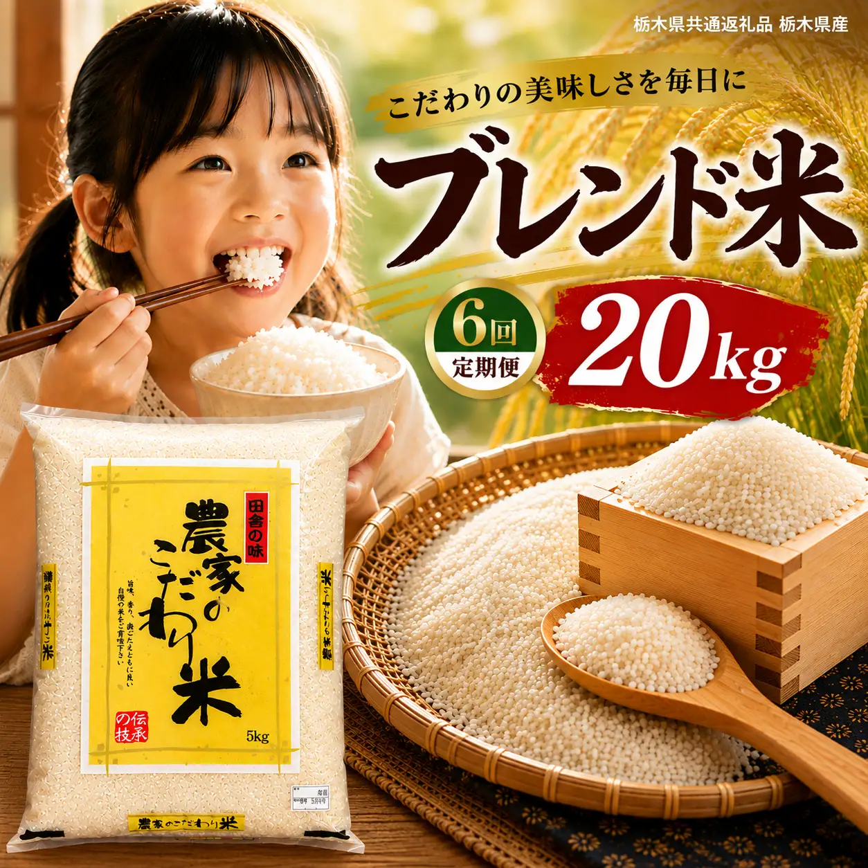 【定期6回】栃木県産 ブレンド米 20kg【栃木県共通返礼品】