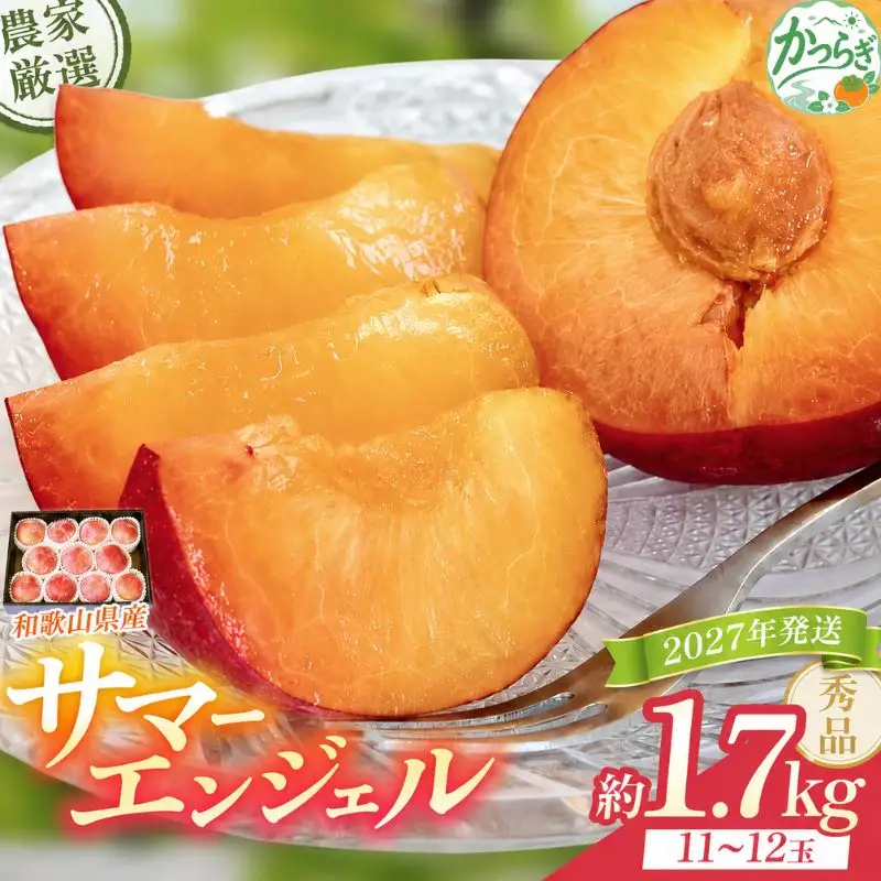 サマーエンジェル (スモモ)  約1.7kg 秀品11～12玉 こだわり農家厳選！【2027年7月上旬～7月中旬順次発送予定】【BK-kgr048】