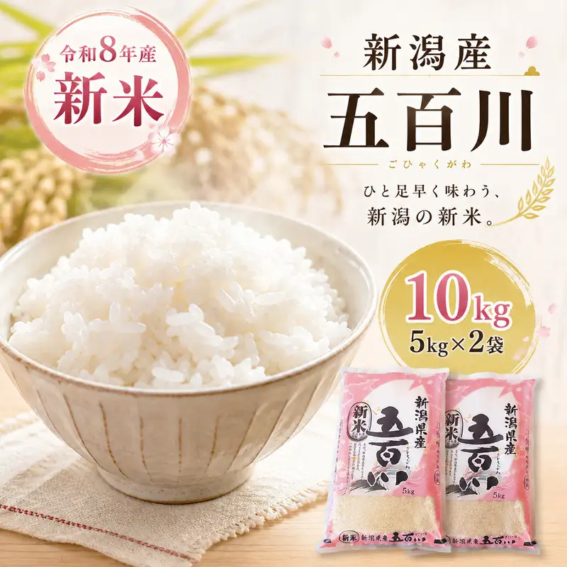 令和8年産新米新潟産五百川10kg（5kg×2本）