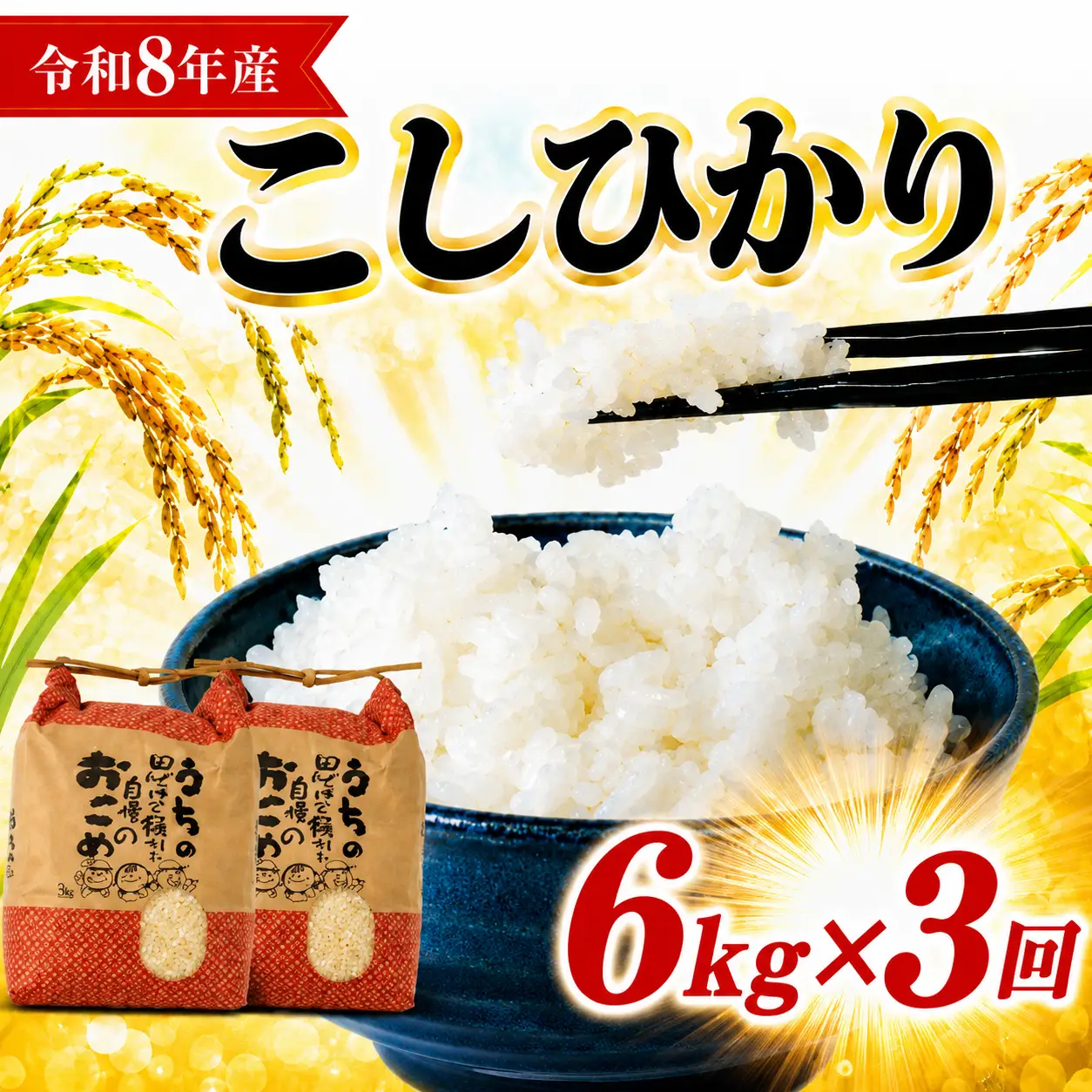 【令和8年産先行予約】【3ヶ月6kg定期便】白米 こしひかり 精米 ブランド米 定期便