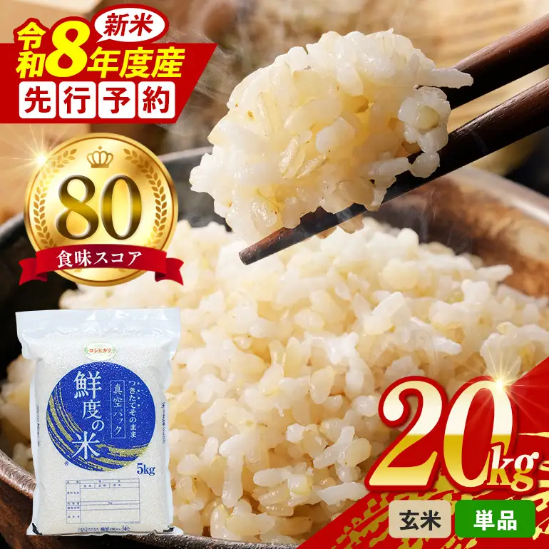 令和8年度産 こしひかり 玄米 20kg 真空パック（5kg×4P) A17-039