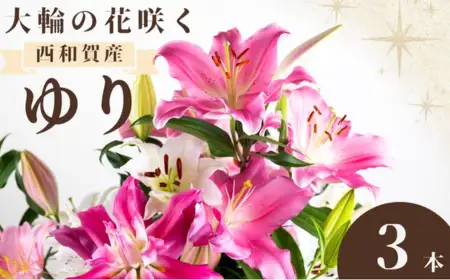 ＜期間限定11月30日迄＞高原ふれあい産直　西和賀・高原のユリ 3本
