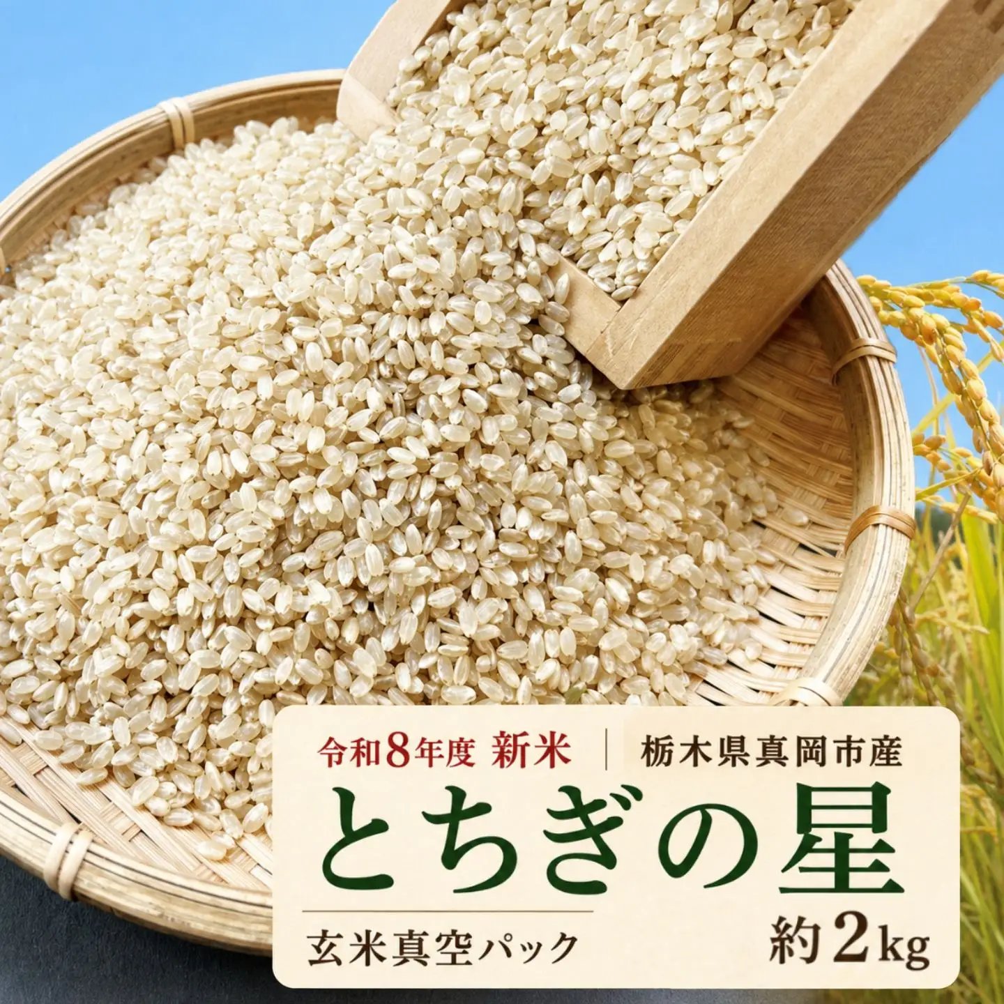 【先行予約】 訳あり 令和8年度 新米 真岡市産とちぎの星（玄米真空パック) 約2kg