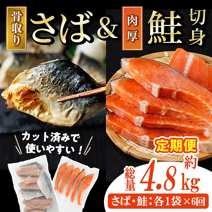 【定期便・全6回(連続)】骨取り 国産 塩さばと 肉厚 鮭 切り身 のセット(総計約4.8kg) 量 切身 塩 鯖 サバ 骨なし 骨とり 冷凍食品 小分け パラパラ冷凍 肉厚 鮭 厚切り しゃけ さけ サケ 切身 塩鮭 【AW-142】【丸正水産】