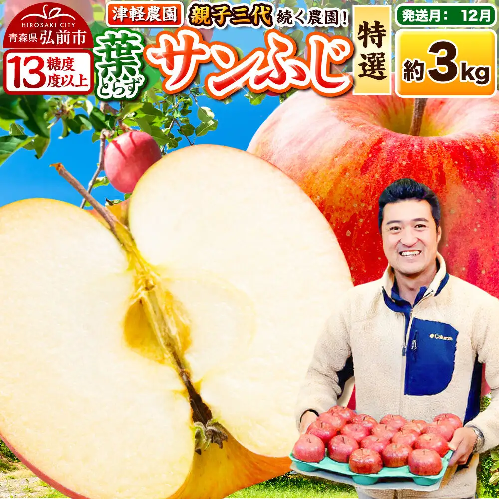 【26年12月発送】りんご 葉とらずサンふじ【特選】約3kg 8～12玉程度【糖度13度以上】津軽農園 先行受付 青森県 弘前市 果物 フルーツ 林檎 リンゴ くだもの ギフト 贈り物