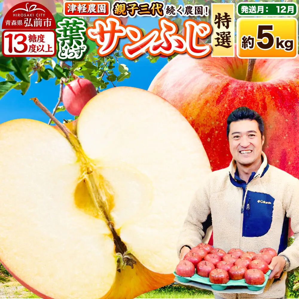 【26年12月発送】りんご 葉とらずサンふじ【特選】約5kg 13～20玉程度【糖度13度以上】津軽農園 先行受付 青森県 弘前市 果物 フルーツ 林檎 リンゴ くだもの ギフト 贈り物