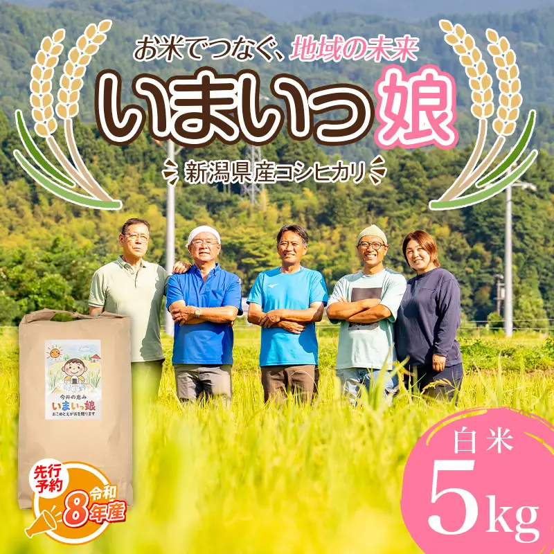 令和8年産新米【先行予約】 新潟県産コシヒカリ いまいっ娘 5kg 【白米 新潟県 糸魚川市産 安心 安全 美味しいお米 新潟米 今井産 米 精米 こしひかり おにぎり お弁当 におすすめ お米 おこめ コメ 2026】