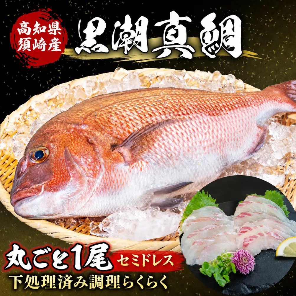 高知県 須崎市産 養殖真鯛  まるごと 1尾 セミドレス