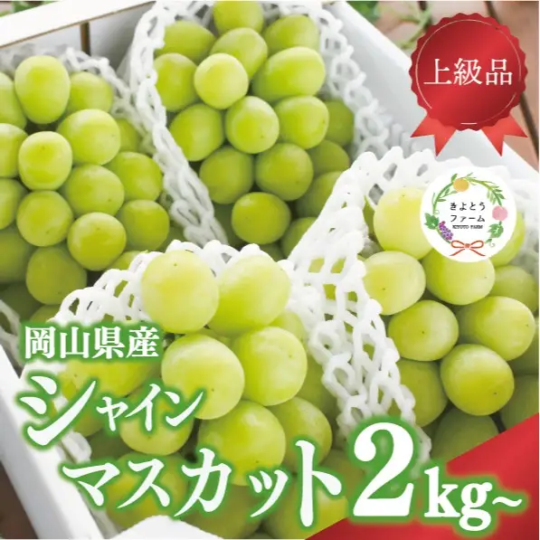 シャインマスカット 3-5房/計2kg～ (岡山県産) 果樹園こだわりの「きよとう」シャイン! FN-B004