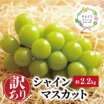【訳あり】シャインマスカット ご家庭用/約2.2kg (岡山県産) 食べ応え満足便! FN-B006
