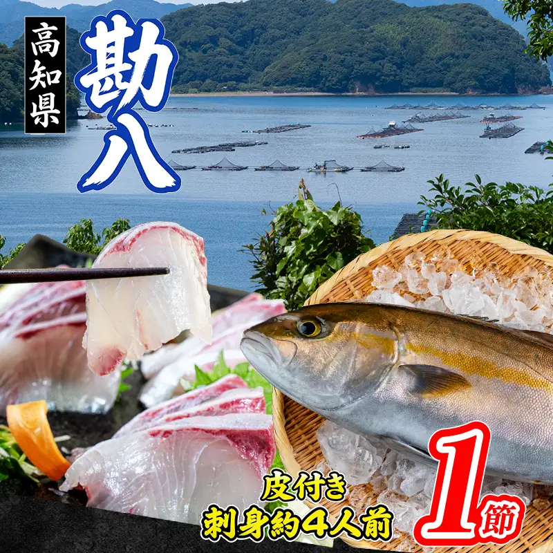 カンパチ 1節 皮つき (ロイン）  高知県産 
