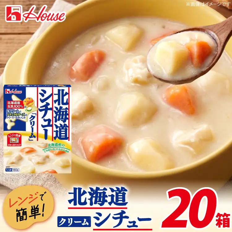 ハウス 北海道シチュークリーム 20食セット