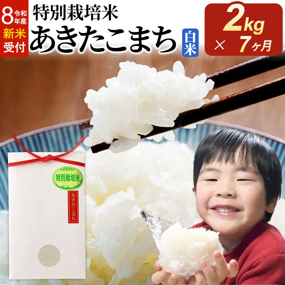 ＜令和8年産 新米受付＞《定期便7ヶ月》米 特別栽培米 あきたこまち【白米】2kg×1袋